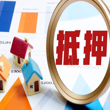 瑞丽贷款助贷公司新渝启服实力公司