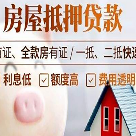 瑞丽贷款助贷公司新渝启服靠谱公司