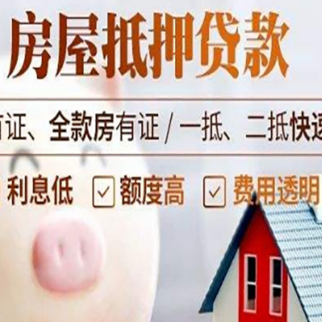 瑞丽贷款助贷公司新渝启服成立时间久