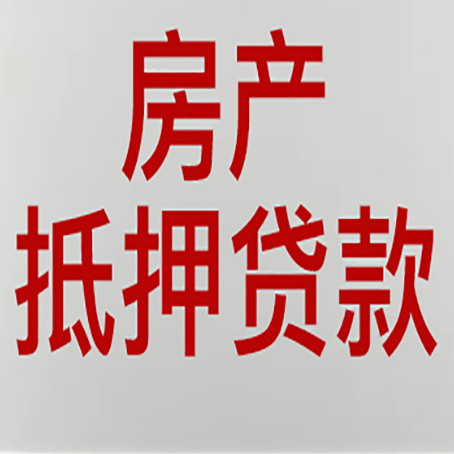 瑞丽贷款公司新渝启服推荐选择